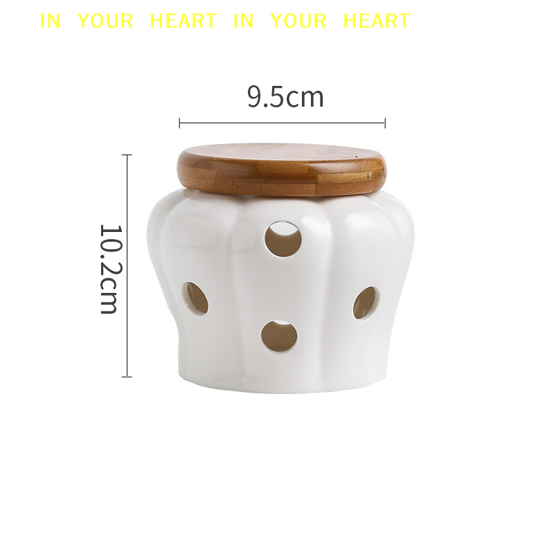 【X】Toples Penyimpanan Bawang P - X Nutrition ulasan dan harga