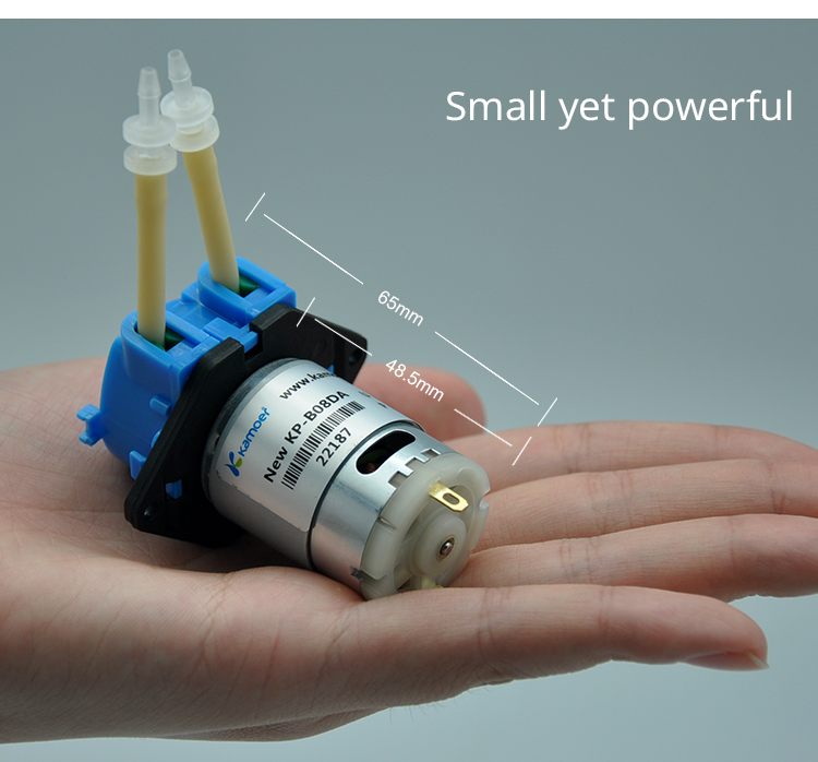 Pompa dosis peristaltik mini w - Nutrition & Fitness Hub ulasan dan harga