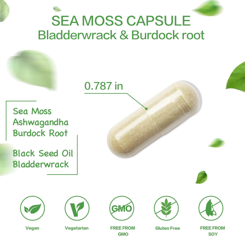Minyak Biji Hitam Rumput Laut  - Black Seed Oil Capsule ulasan dan harga