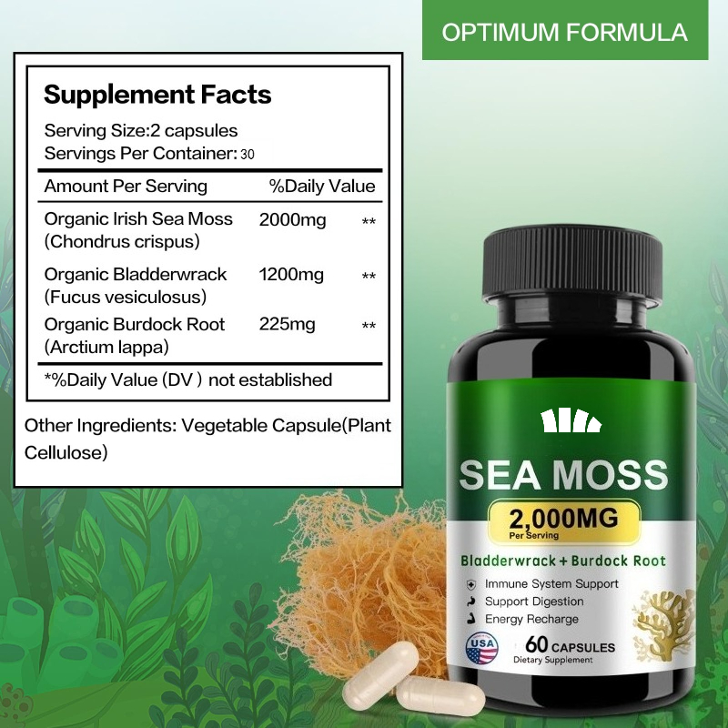 Minyak Biji Hitam Rumput Laut  - Black Seed Oil Capsule ulasan dan harga